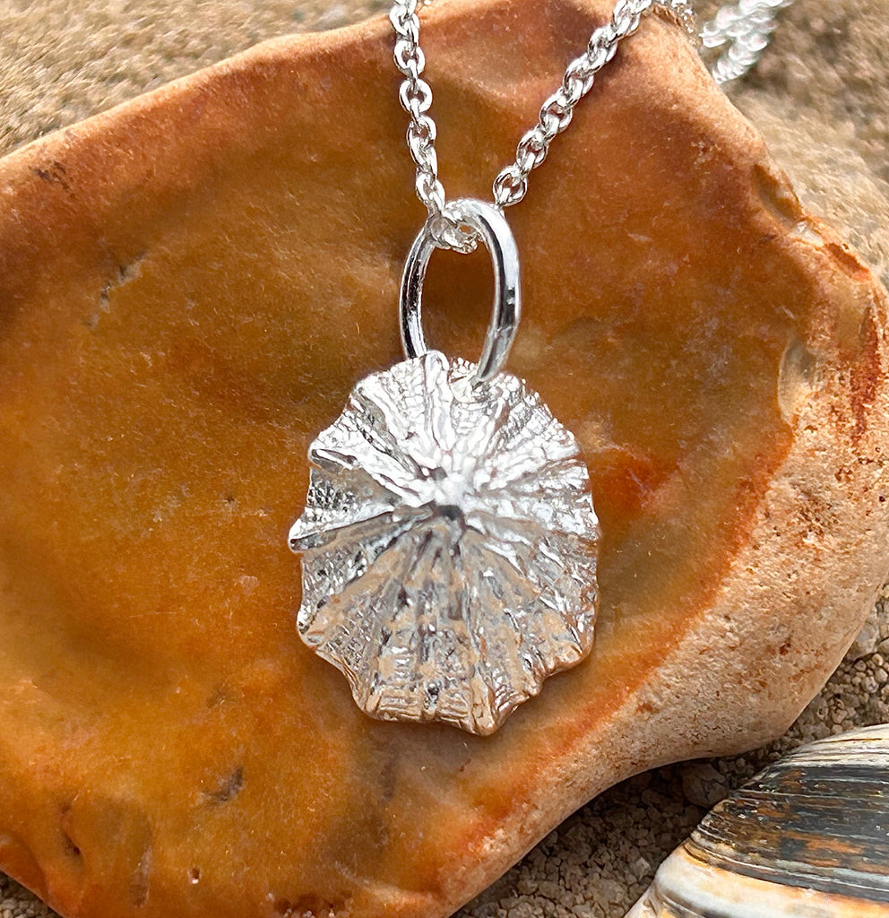 Sea Gems sterling silver Limpit shell Necklace