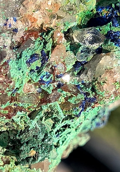 Raw Specimen Chrystalite Azurite, with Green Malachite and Quartz