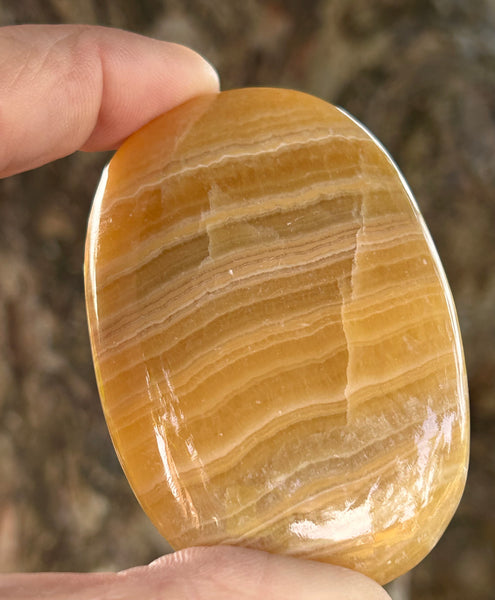Calcite Palm Stone