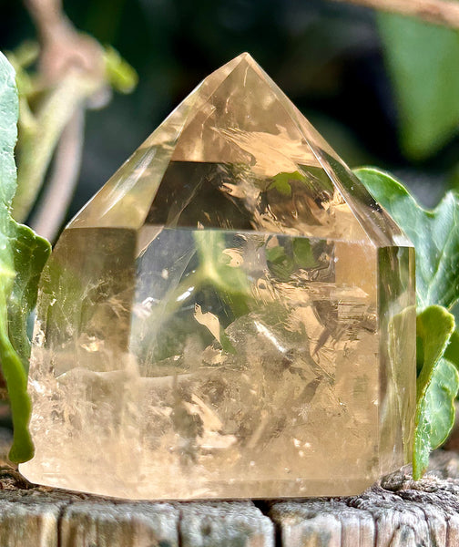 Natural Citrine Point