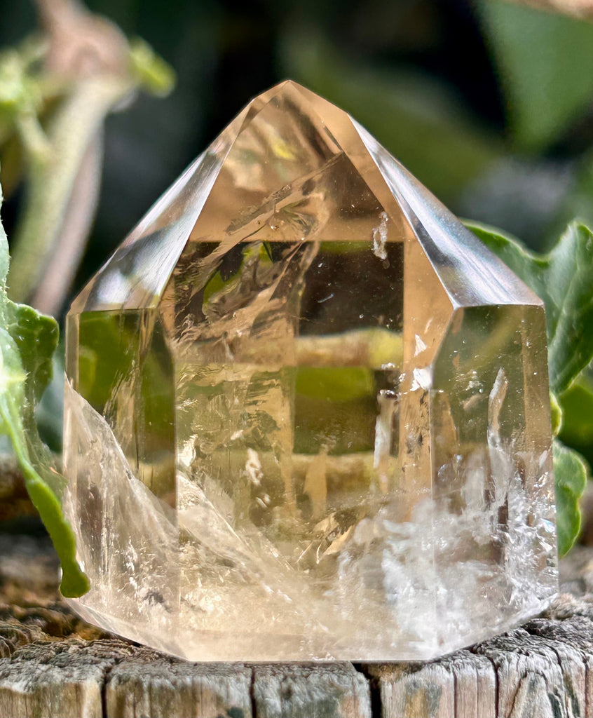 Natural Citrine Point