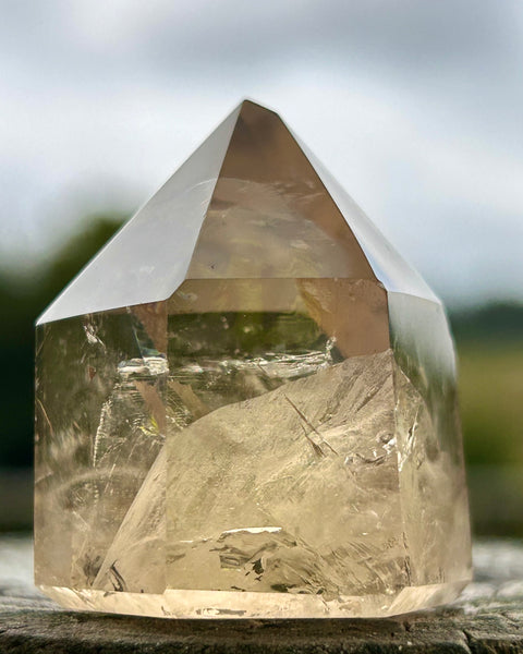 Natural Citrine Point