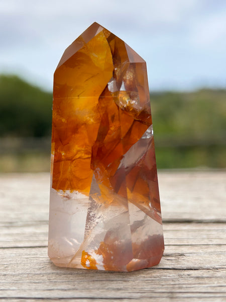 Golden Healer Point