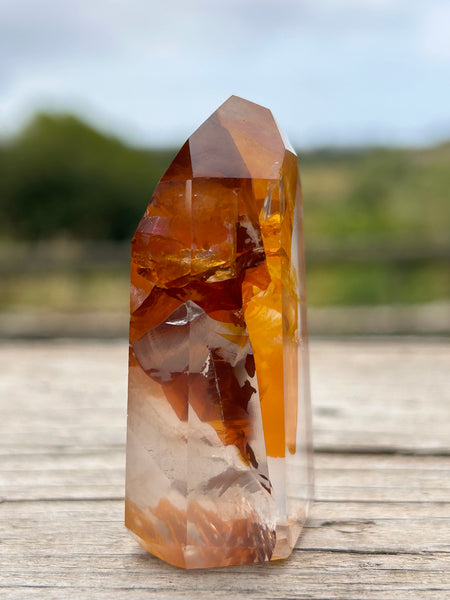 Golden Healer Point