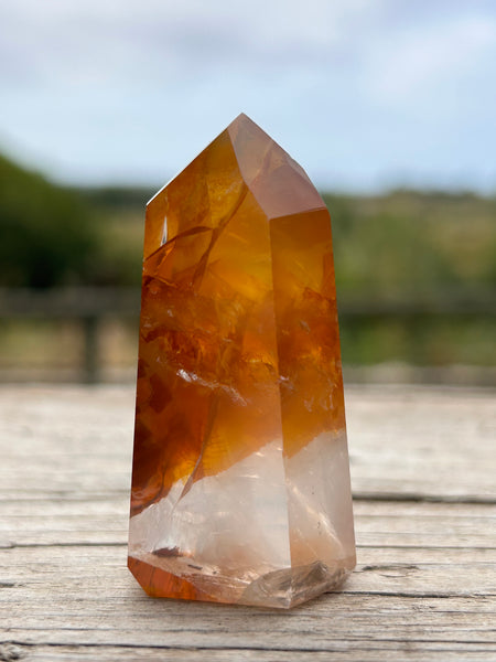 Golden Healer Point