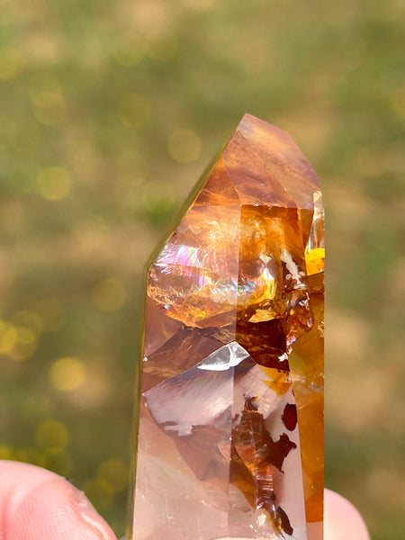 Golden Healer Point