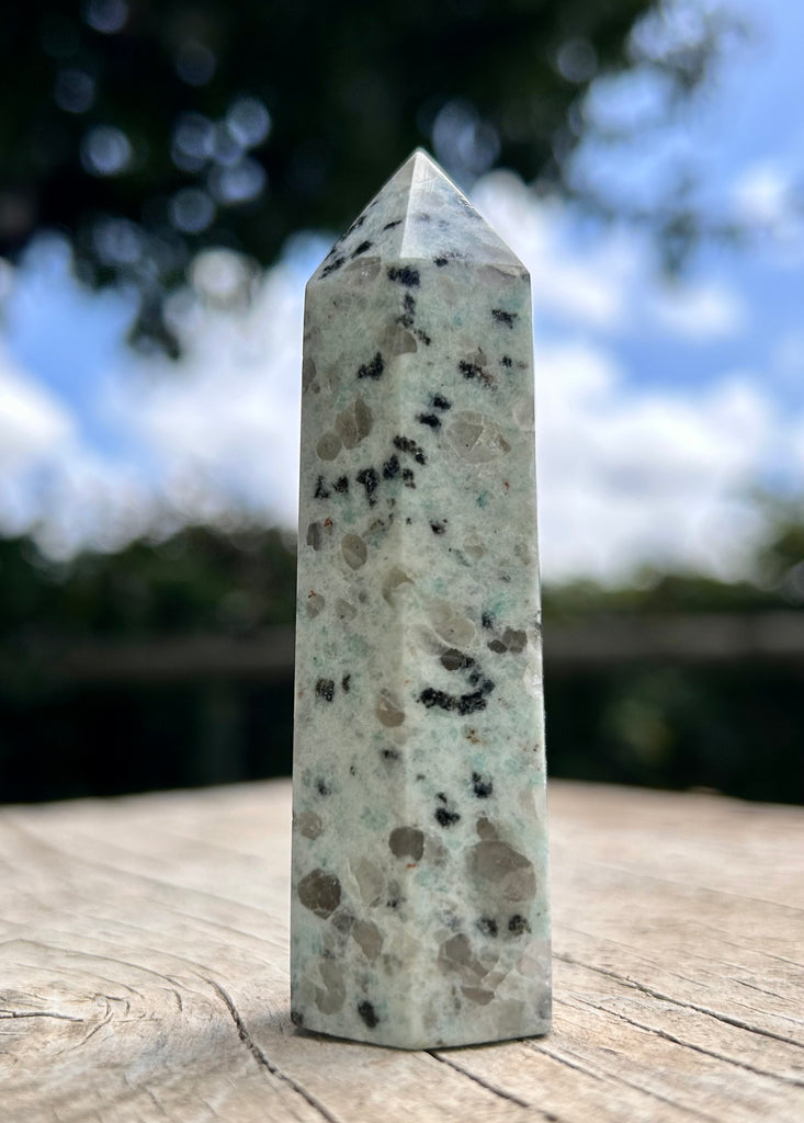 Kiwi Jasper Point