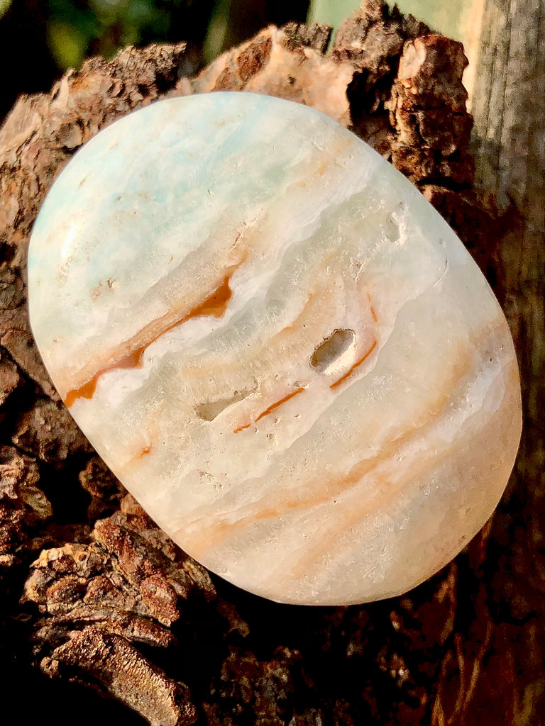 Caribbean Calcite Palm Crystal