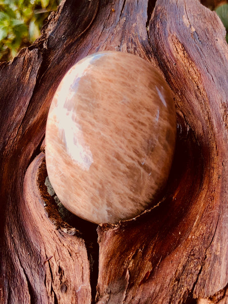 Peach Moonstone palm Stone