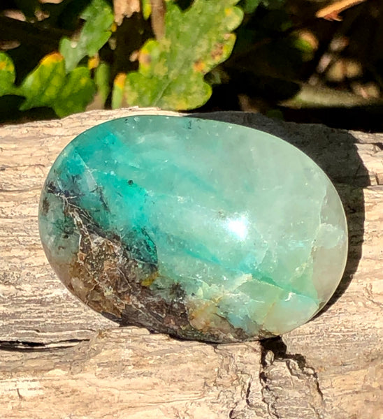 Quantum Quattro Palm Stone