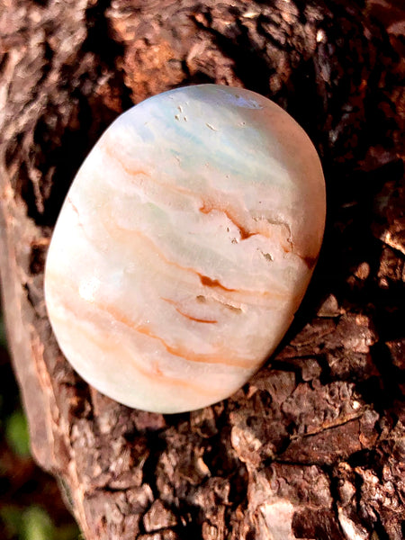 Caribbean Calcite Palm Crystal