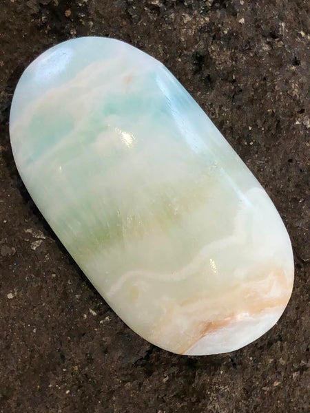Caribbean Calcite Palm Crystal