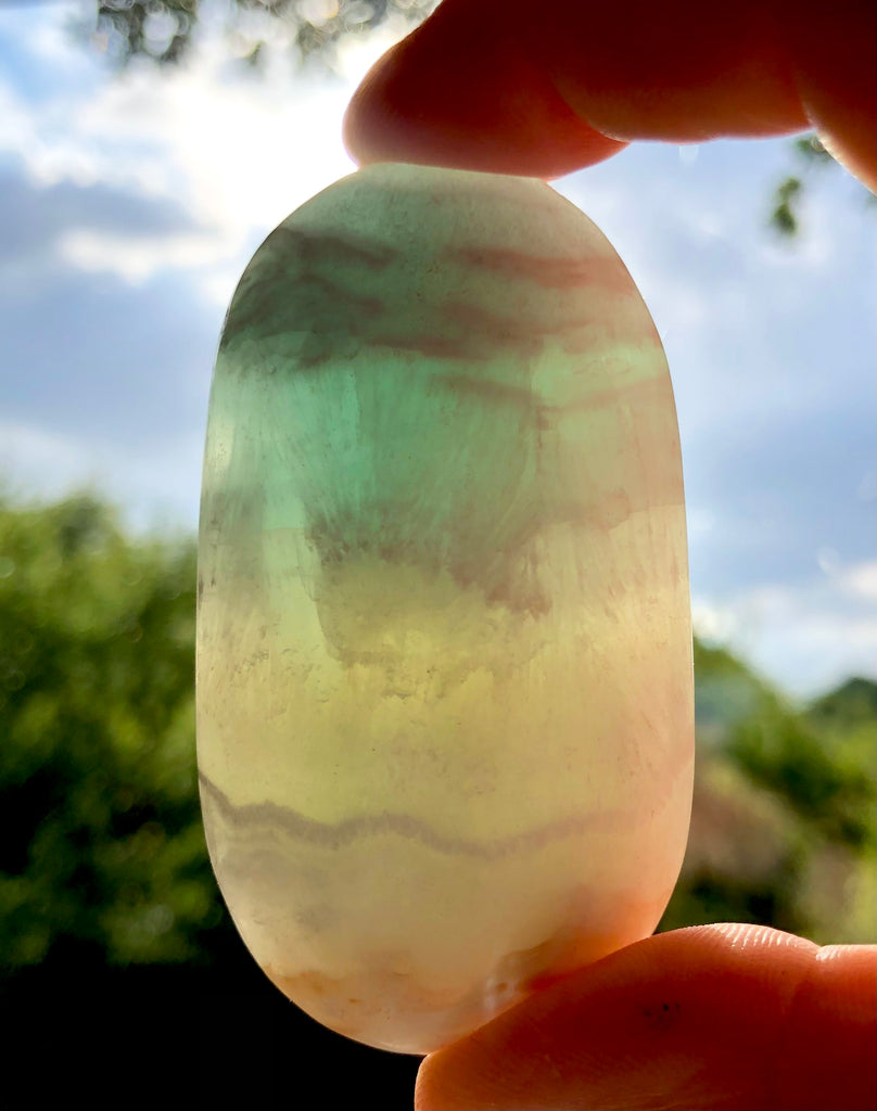 Caribbean Calcite Palm Crystal