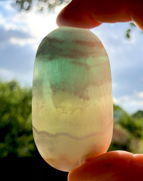 Caribbean Calcite Palm Crystal