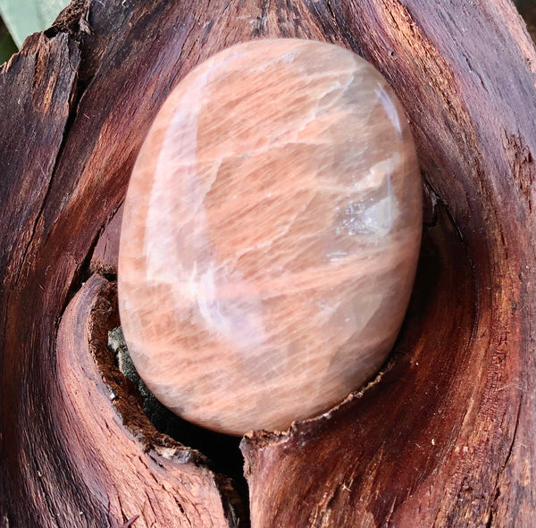 Peach Moonstone palm Stone