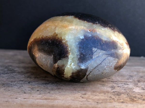 Septarian Palm Stone