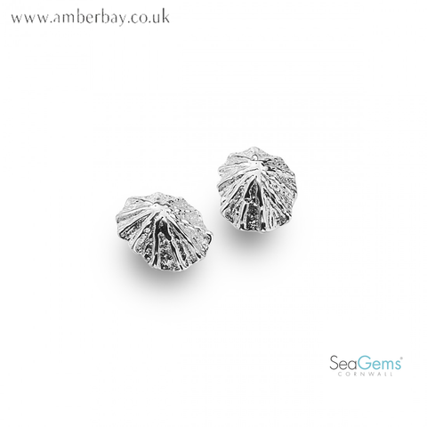 Sea Gems Sterling Silver Limpet Shell Stud Earrings P3429