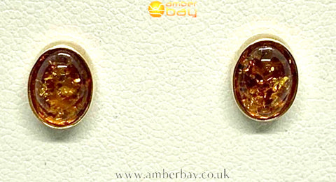 9ct Yellow Gold Cognac Baltic Amber Stud Earrings