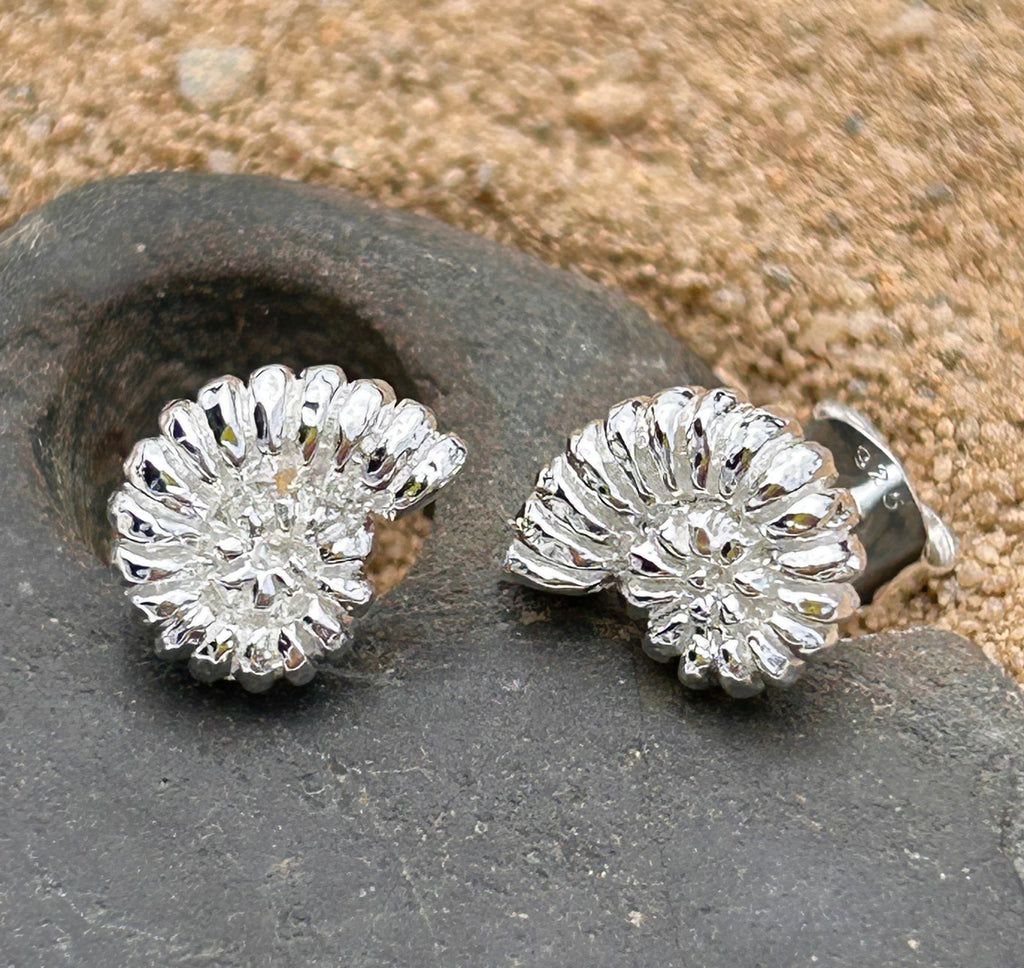 Sea Gems sterling silver Ammonite stud earrings