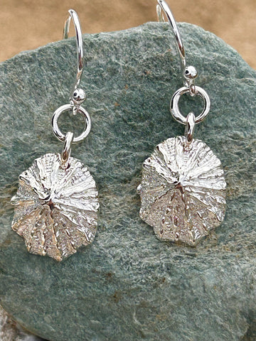 Sea Gems sterling silver Limpit shell drop earrings