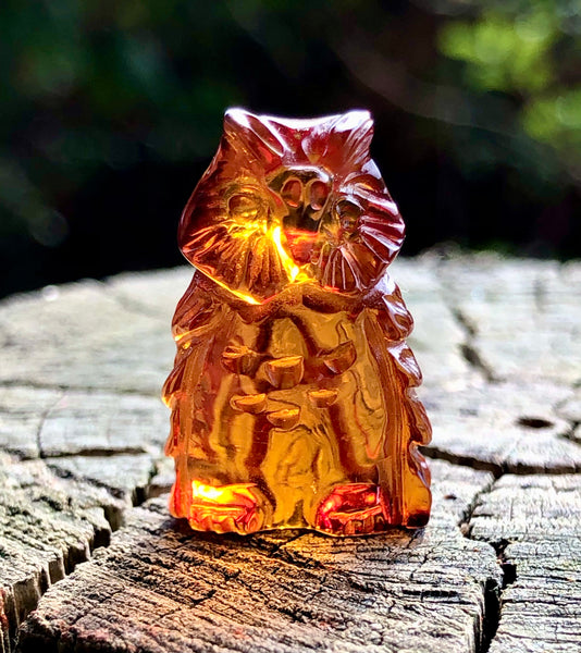 Amber Owl Carving