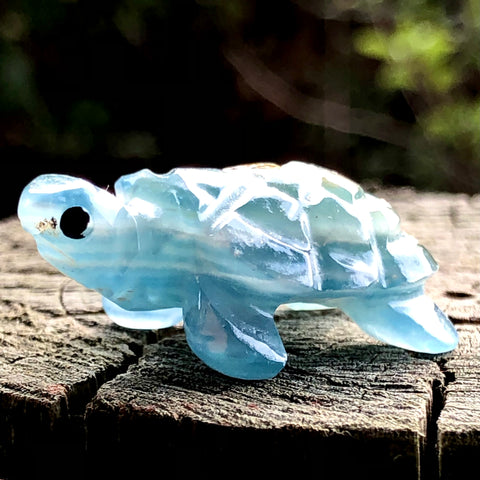 Blue Onyx Tortoise Carving