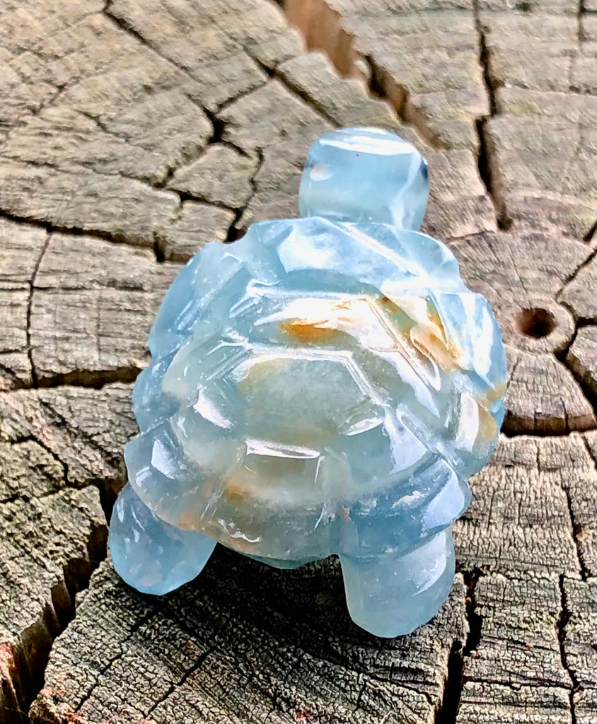 Blue Onyx Tortoise Carving – Amber Bay