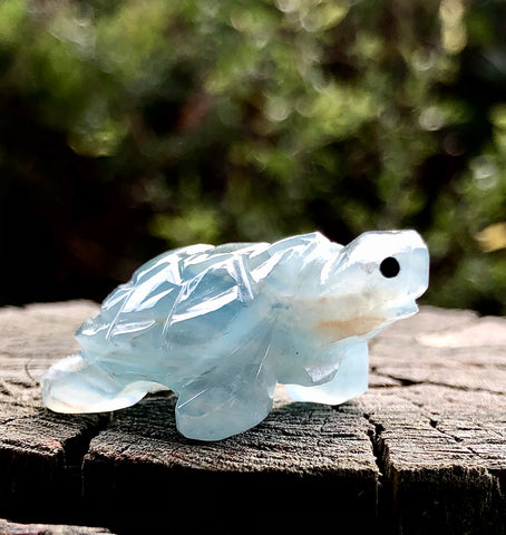 Blue Onyx Tortoise Carving