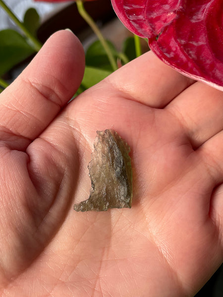 Genuine 1.5 g Besednice Moldavite